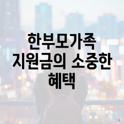 한부모가족 지원금의 소중한 혜택