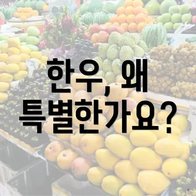 한우, 왜 특별한가요?